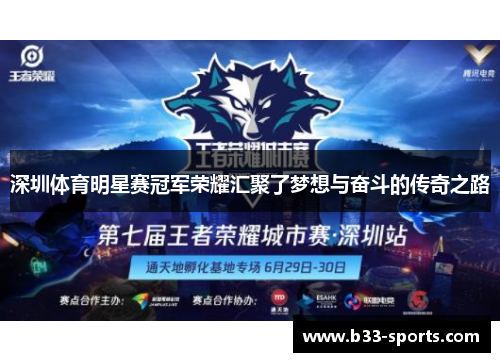 深圳体育明星赛冠军荣耀汇聚了梦想与奋斗的传奇之路